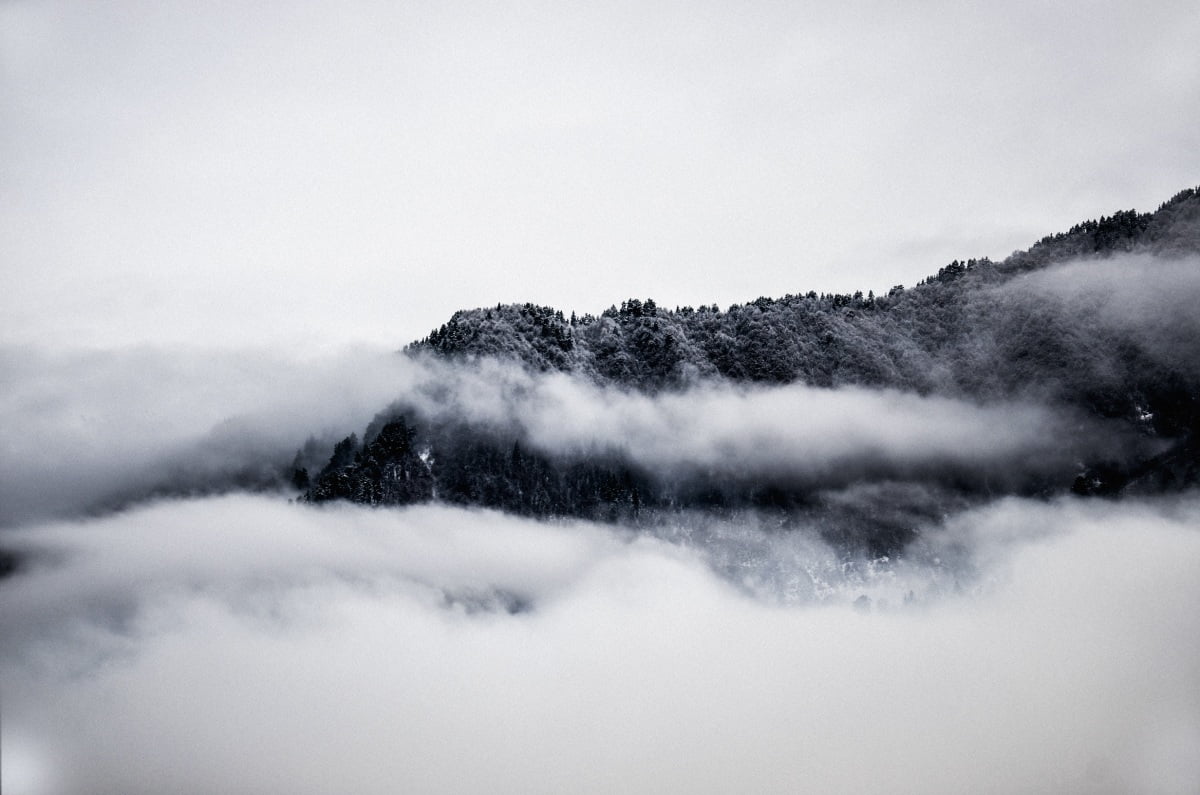 mountain-forest-in-fog