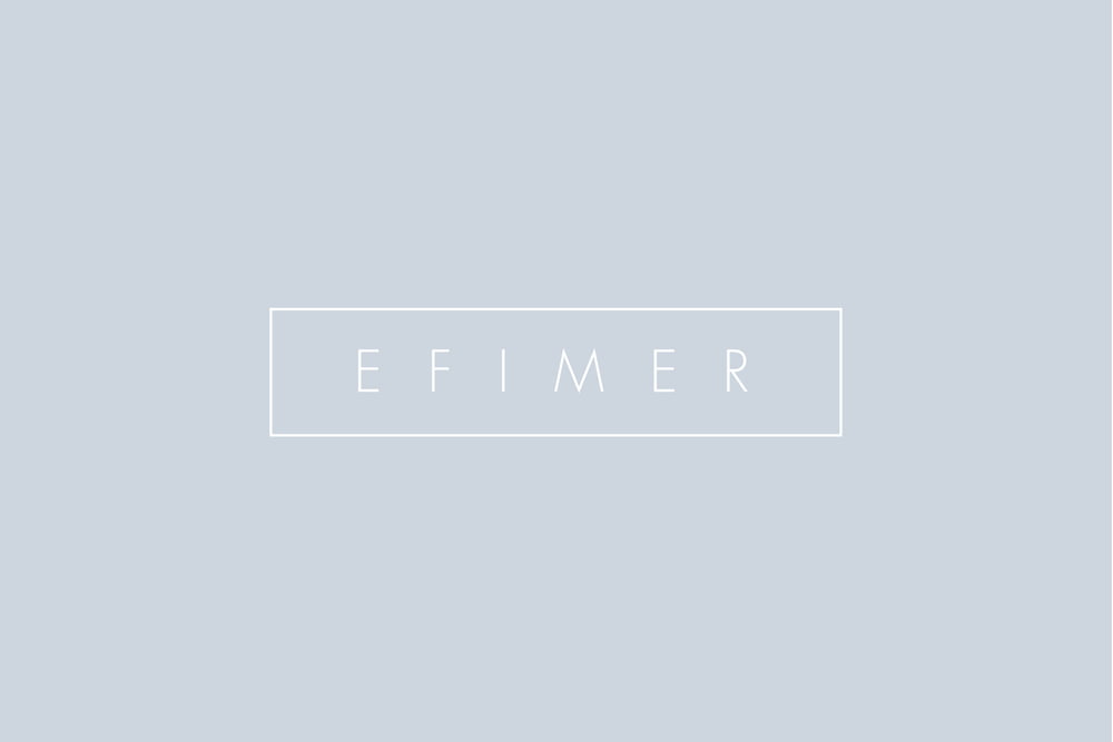 EFIMER_01-02-01